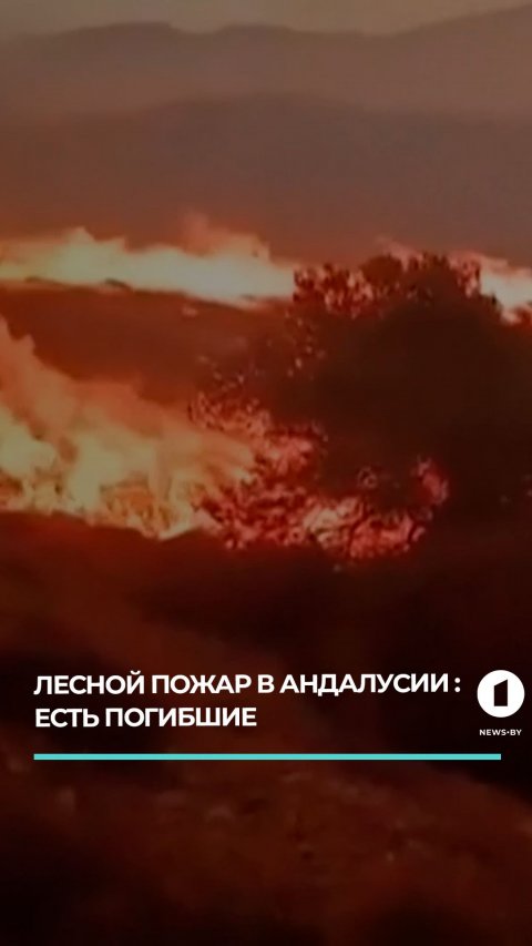 Лесной пожар в испанской Андалусии привел к многочисленным жертвам