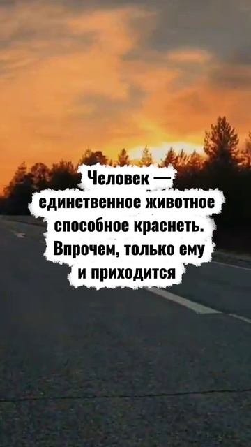 аудиокниги/истории из жизни/аудио рассказы/жизненные истории