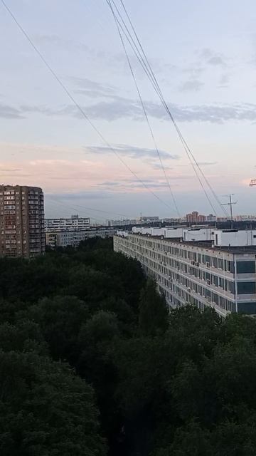 Стрижи,9.7.26