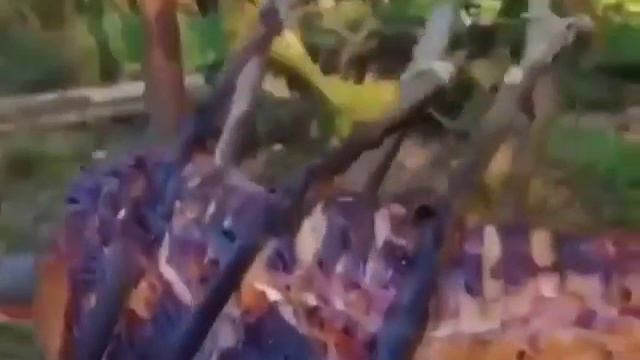 Делаем барбекю своими руками.