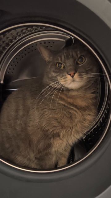 ОБИДЕЛСЯ 😿