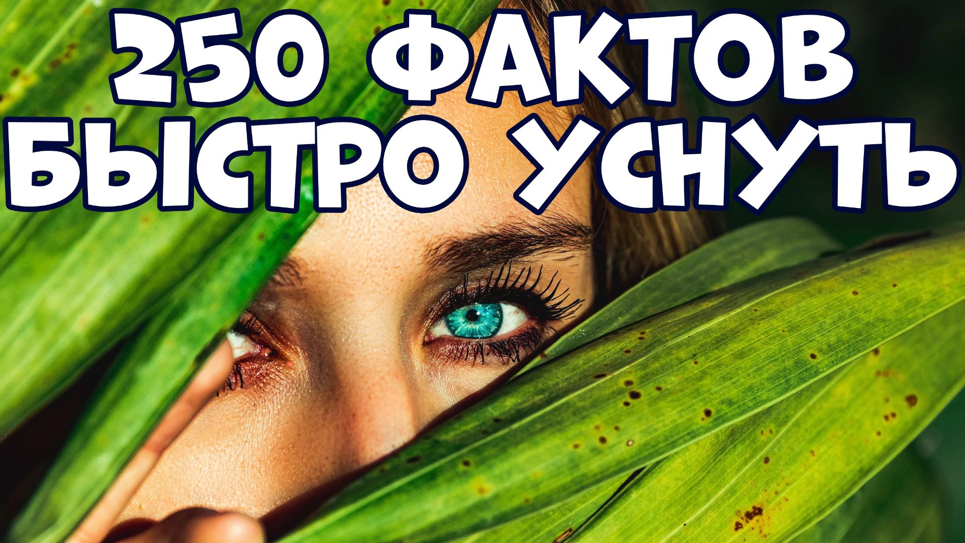 250 ИНТЕРЕСНЫХ ФАКТОВ, КОТОРЫЕ ПОМОГУТ БЫСТРО УСНУТЬ