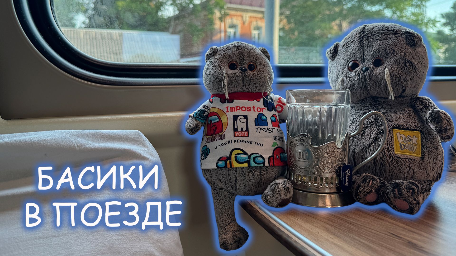 Басики в поезде 🐈🚂 Путешествие на поезде с котиками Басиками