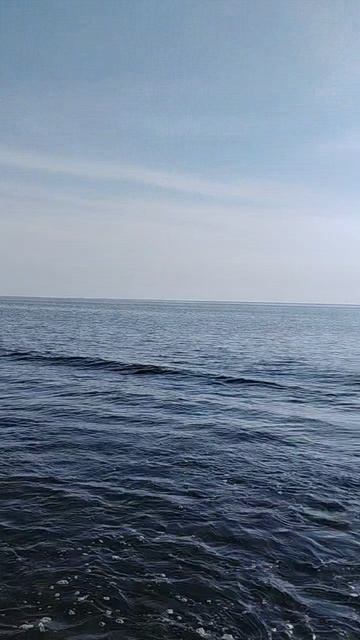 Рыбинское водохранилище