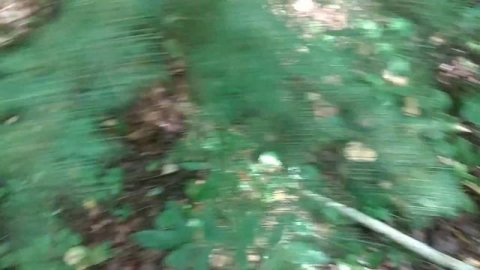 Грибы 12.07.22. Собираю новый урожай