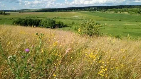 Вид с Пожилинской горы