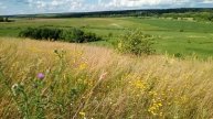 Вид с Пожилинской горы