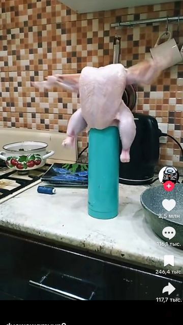 курочка