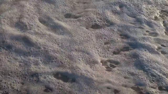 Сочи.10.07. 26