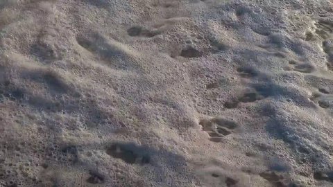Сочи.10.07. 26