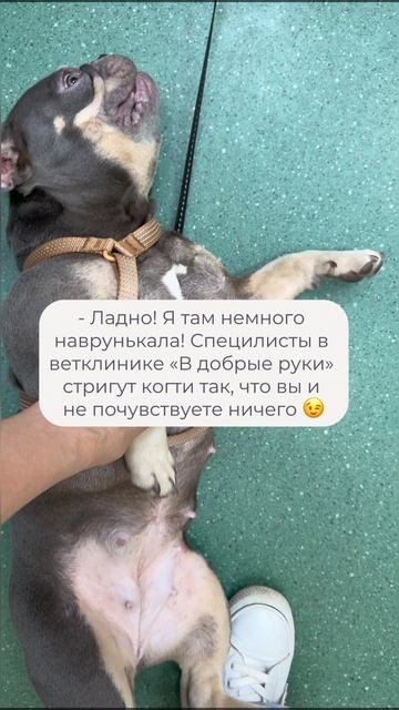 Приходите на стрижку когтей и осмотр