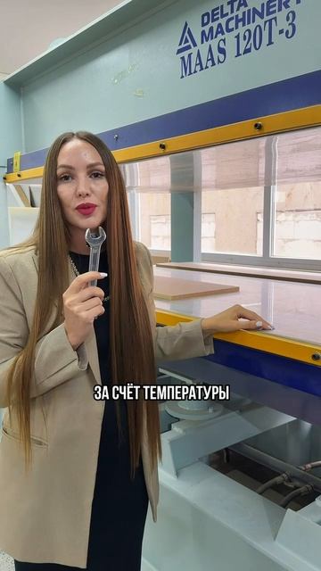 Гидравлический горячий пресс DELTAMACHINERY MAAS 120T-2,5