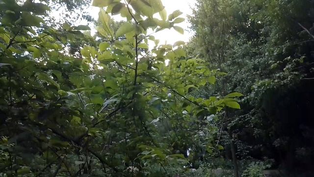 1000243640.mp4