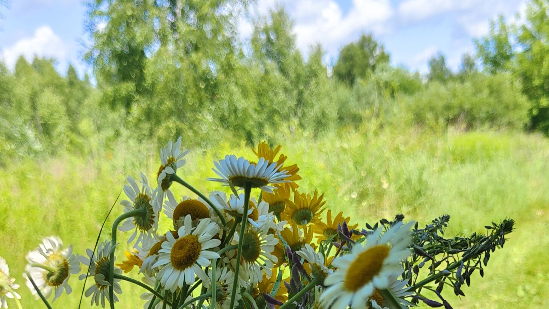 ПРОпаркА