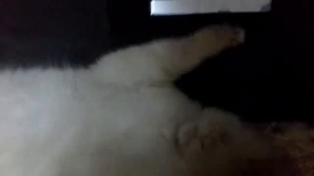 мой любимый зануда