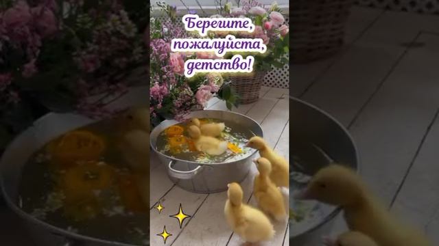 YouCut_20260711_141138380.mp4