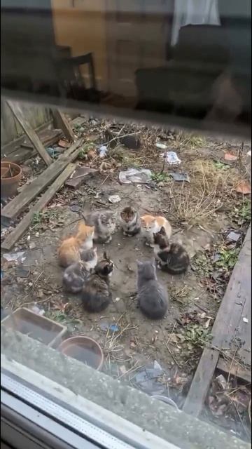 секретное собрание 🤫