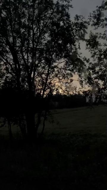 Закатное солнце из окна машины ☀️🌿