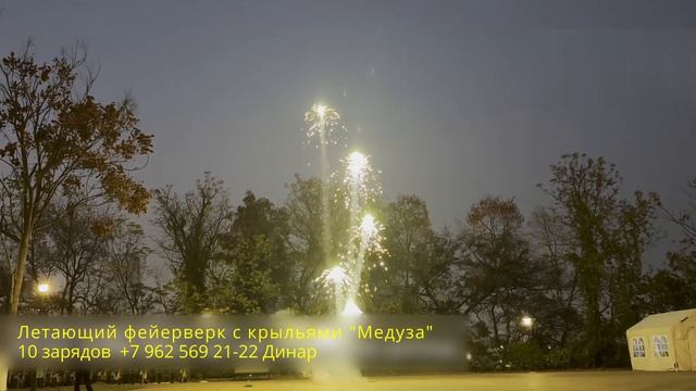 Зеленый летающий фейерверк с крыльями Медуза 10 зарядов