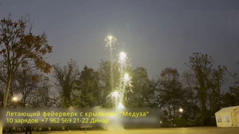 Зеленый летающий фейерверк с крыльями Медуза 10 зарядов