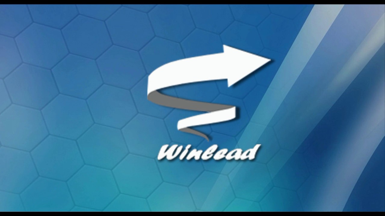 Партнерская программа Winlead