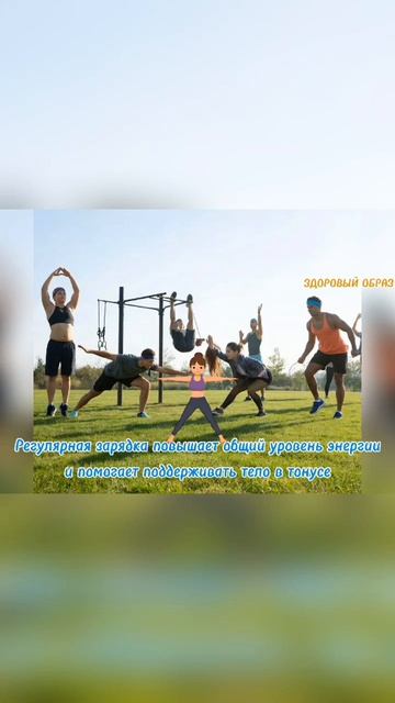 Зарядка каждый день