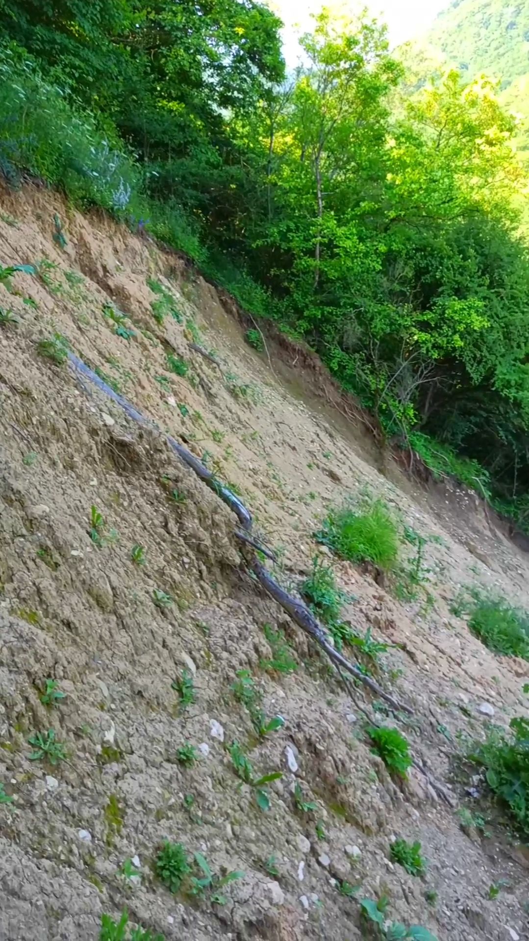 В Горах дагестане большой оползень после дождей, таких оползней много и места красивые