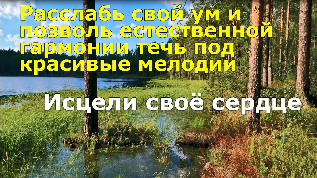 Музыка и природа для души: скрипка, виолончель и пение птиц