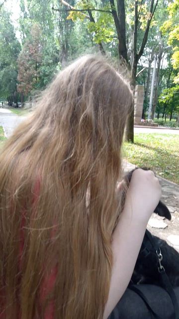 собака улыбака сиба приколы -соседка Ксюша