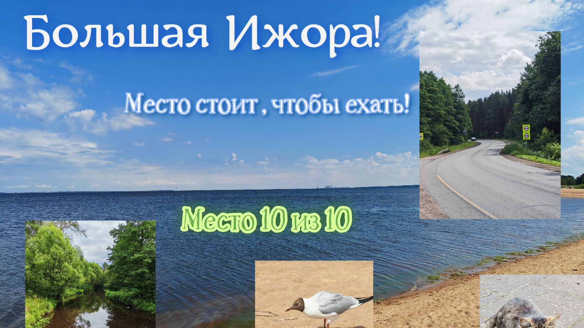 Большая Ижора. Финский залив