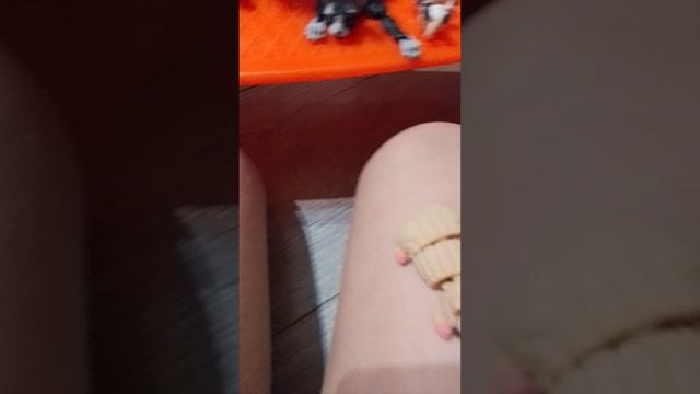 обзор на подвижных собак и кошек и мыш