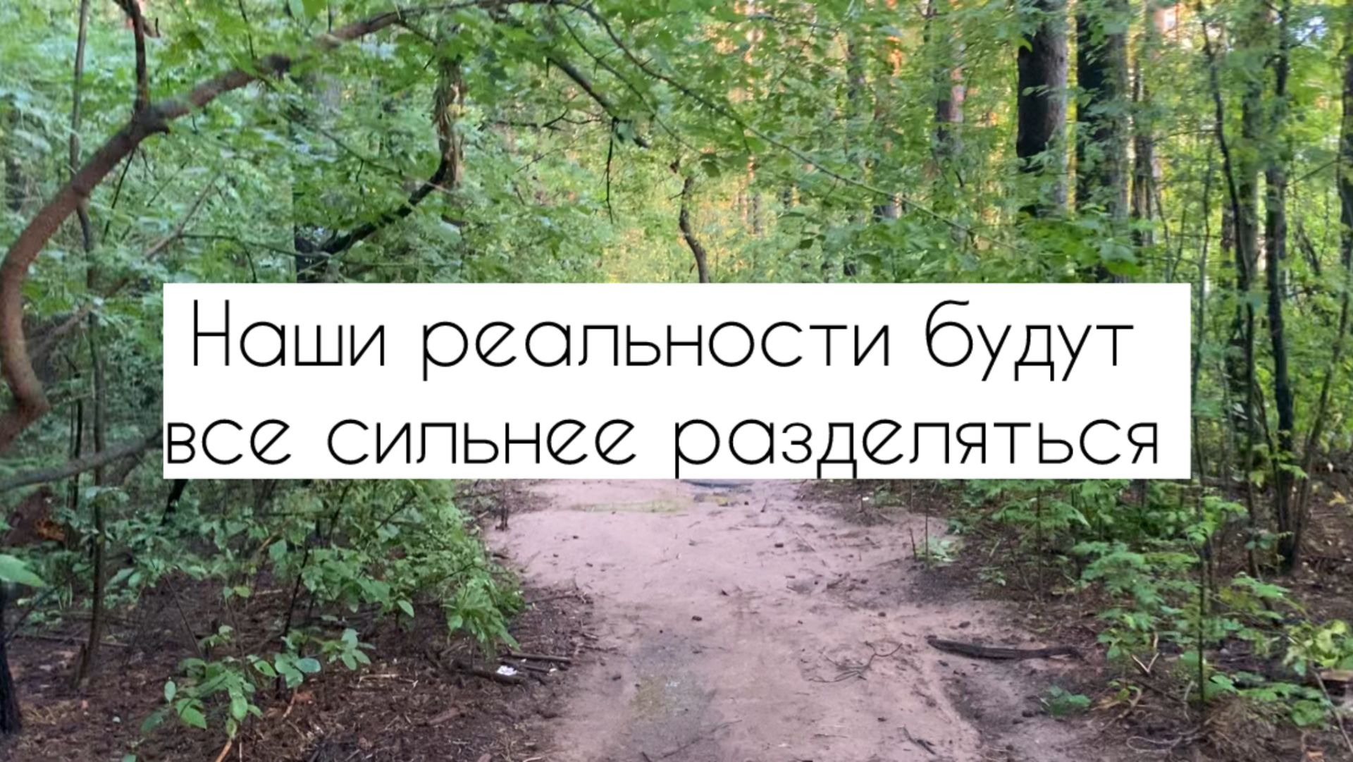 Наши реальности будут разделяться все больше. К чему идем.