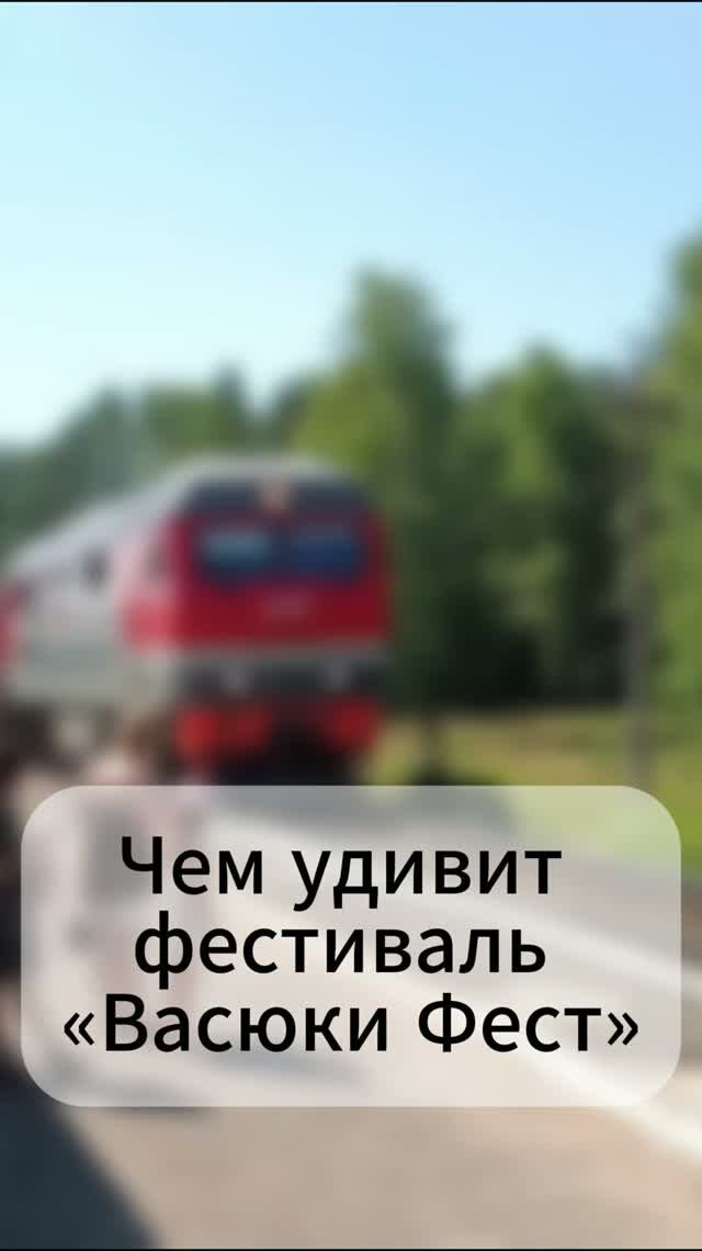 Чем удивит фестиваль «Васюки Фест»?