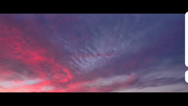 1000035797.mp4