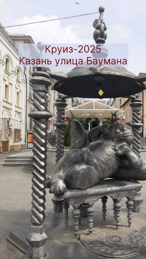 Казань улица Баумана Shorts
