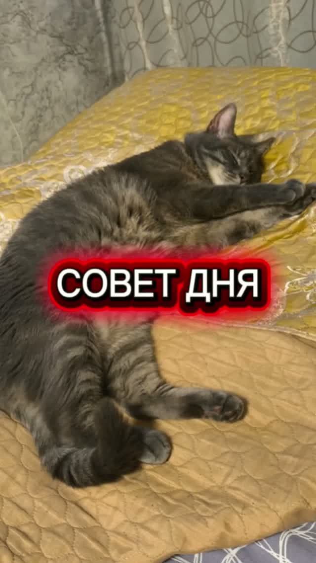 Совет дня ☝️
