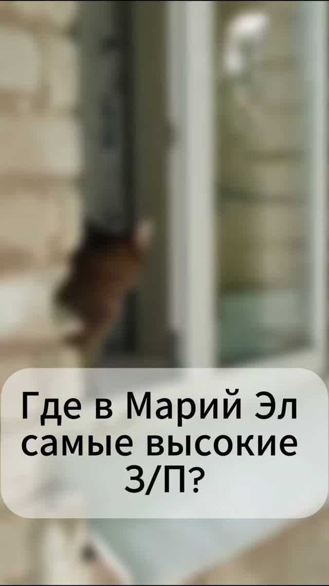 Где в Марий Эл самые высокие З/П?