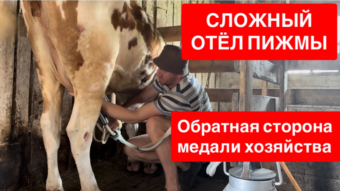 ПИЖМА КОЕ КАК РАСТЕЛИЛАСЬ🙏