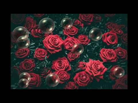 самый лучший нашид Мы Герои