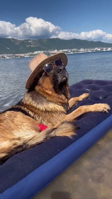 Малыш на отдыхе у нас.
Восстанавливается, морюшко лечит 🌊😍😎