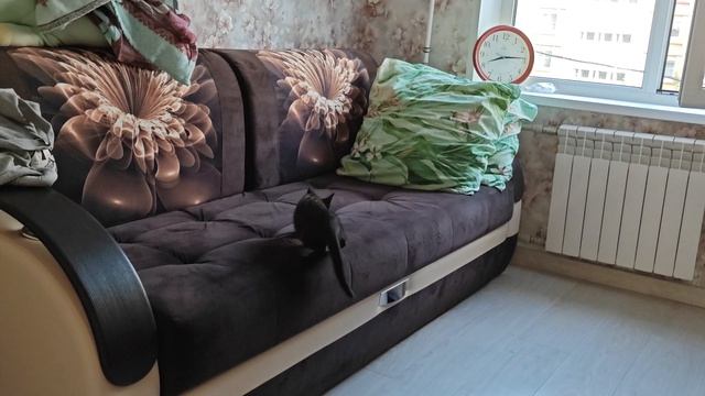 сердце из корма сьела милка