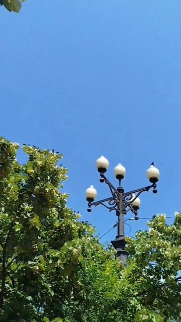 Прогуляюсь по Хабаровска и снова - в дорогу