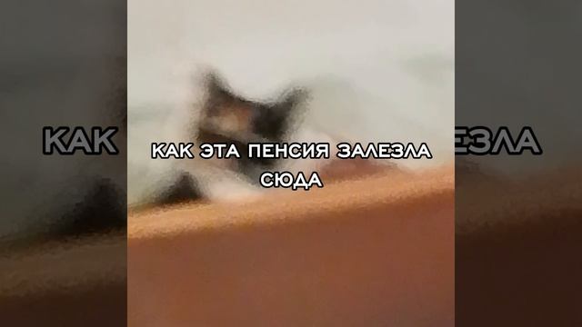 —ало как