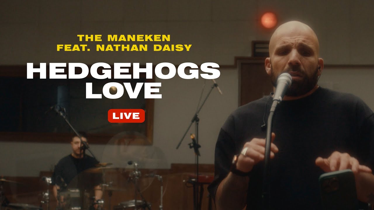The Maneken Feat. Nathan Daisy — Hedgehogs Love (Official Live Video)