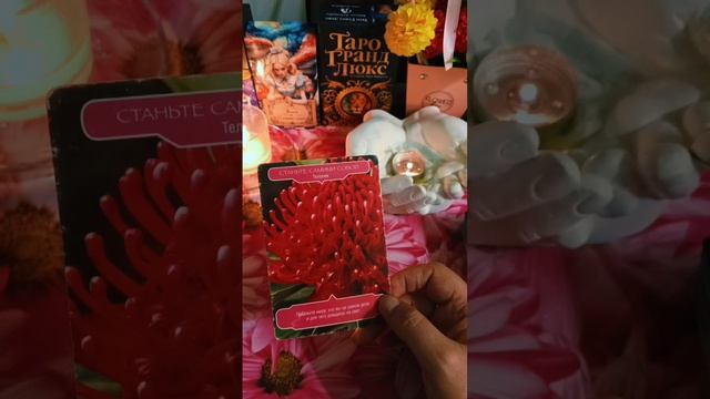 🙏😇Послание от высших сил