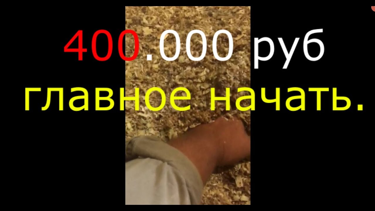 Как заработать 150.000 руб на птице.