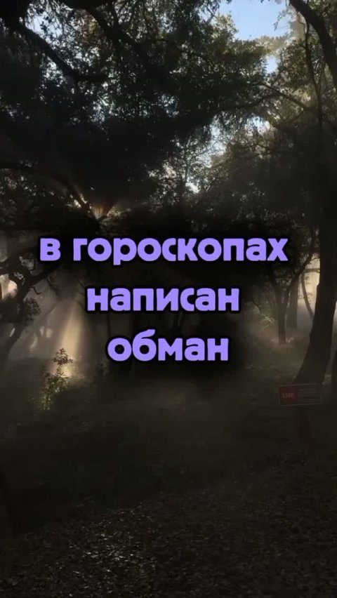 ТВОЙ НАСТОЯЩИЙ ЗНАК ЗОДИАКА — ЗДЕСЬ. Ответ в комментариях