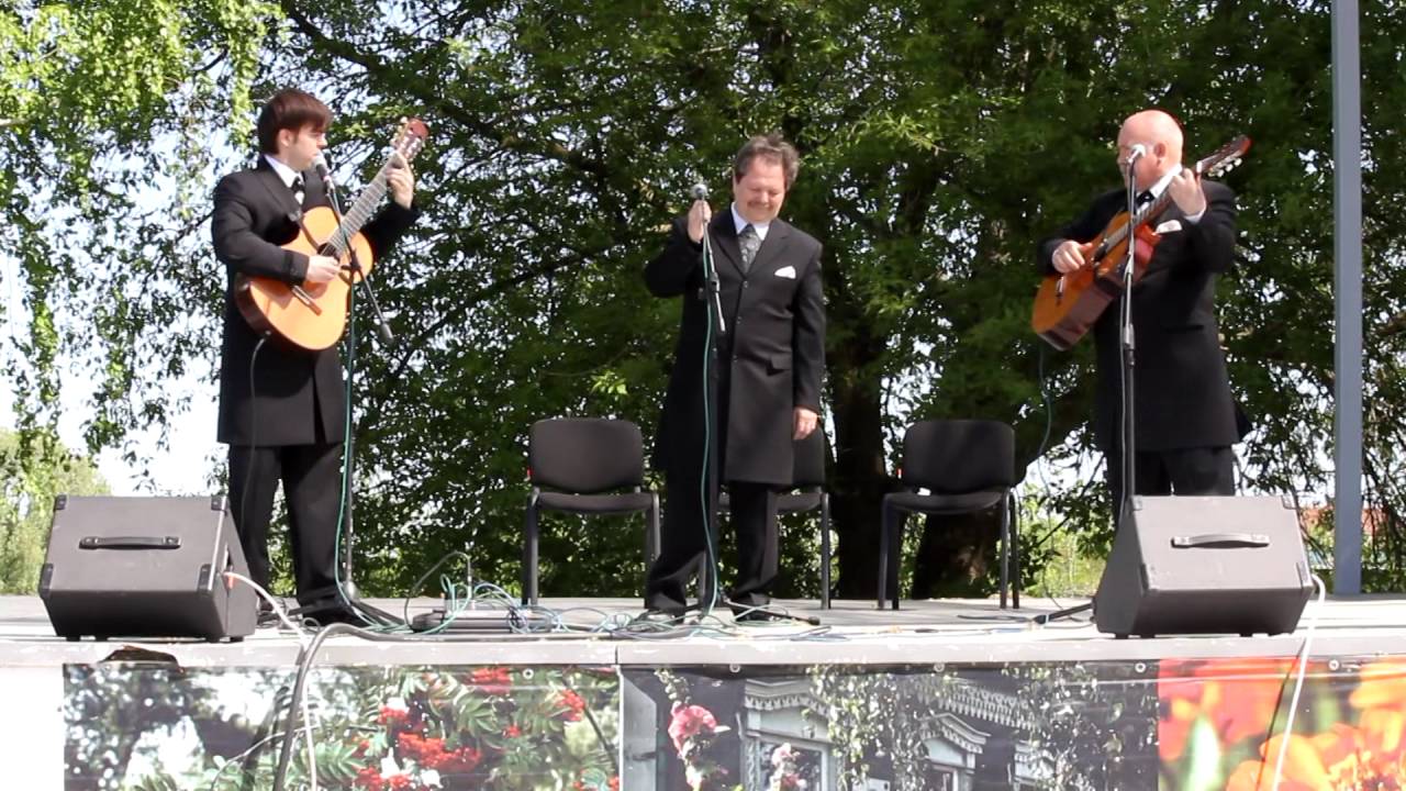 Сергей Никоненко и вокальное трио «Реликт»