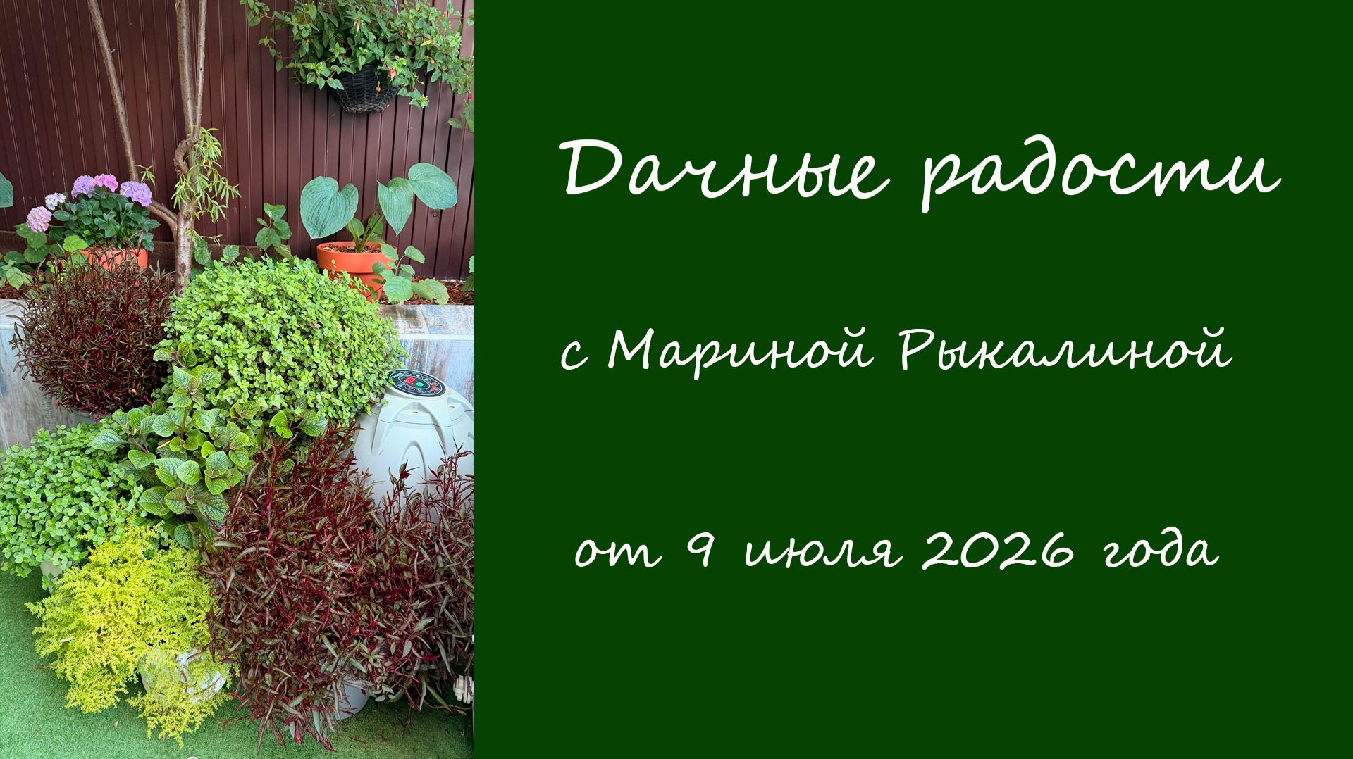 Дачные радости с Мариной Рыкалиной от 9 июля 2026 года