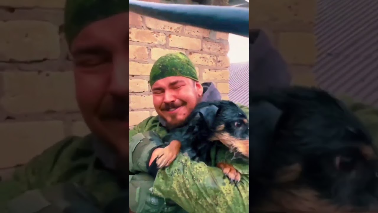 Оренбургский диджей Игорь Дуденко показал историю спасения собаки,